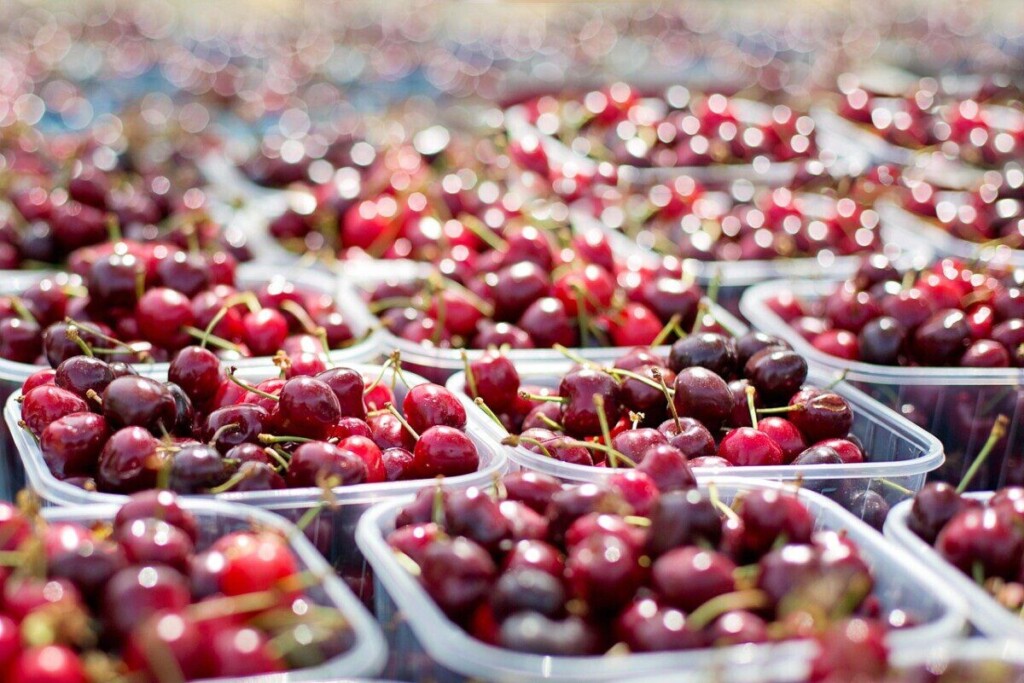 cherries, fruit, tubs, food, juicy, ripe, harvest, produce, organic, tubs of cherries, farmer's market, market, bokeh, cherries, cherries, market, market, market, market, market
