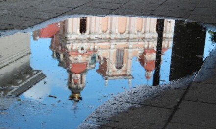 lithuania, vilnius, reflection, nature, puddle, water