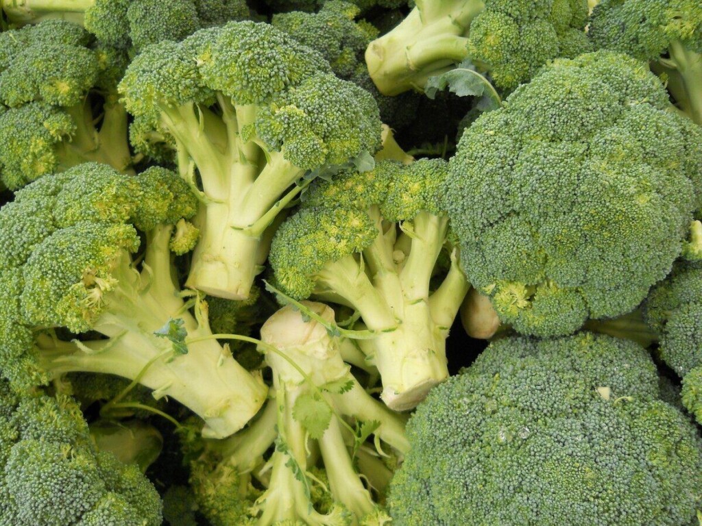 broccoli, green, food, healthy, eating, vegetarian, vegetable, fresh, organic, nutrition, diet, lunch, meal, raw, natural, dinner, cooking, vitamin, ingredient, vegan, kitchen, salad, freshness, snack, fresh vegetables, fruits and vegetables, appetizer, green food, green kitchen, green cooking, green vegetables, green healthy, green diet, green dinner, green eating, green nutrition, broccoli, broccoli, broccoli, broccoli, broccoli