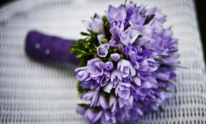 bouquet, flowers, flower background, flower wallpaper, flower arrangement, beautiful flowers, purple flowers, flower bouquet, nature, wedding bouquet, bridal bouquet, closeup