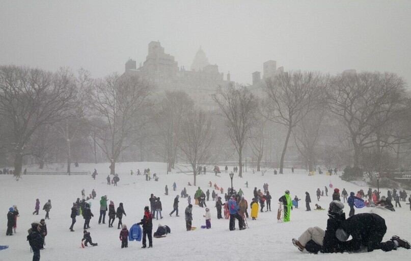snow, central park, new york, new, cold, tree, york, central park new york, cityscape, landscape, frozen, winter, manhattan, sledding, nature, gray news, gray park, gray new