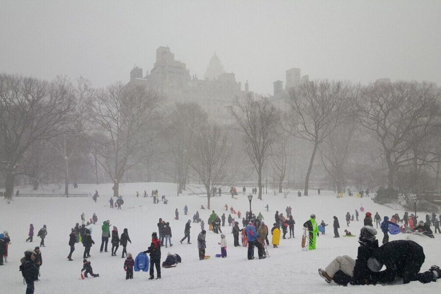 snow, central park, new york, new, cold, tree, york, central park new york, cityscape, landscape, frozen, winter, manhattan, sledding, nature, gray news, gray park, gray new