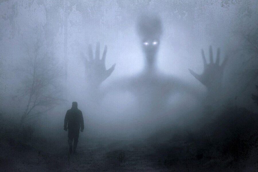 fantasy, spirit, nightmare, dream, dreams, haunt, alien, fog, creepy, mystical, mood, mysterious, magic, mysticism, fantasy picture, surreal, halloween, dark, gloomy, horror, atmosphere, frightening, darkness, weird, spooky, ghost, scare, composing, photomontage, panic, fear, anxiety, gray, psycho, forest spirits, mischief, monster, scary, happyhalloween, blue forest, blue fantasy, blue dark, blue dream, blue fear, blue horror, blue alien, blue ghost, blue magic, alien, halloween, halloween, dark, horror, horror, horror, horror, horror, ghost, ghost, ghost, fear, fear, monster, scary, scary
