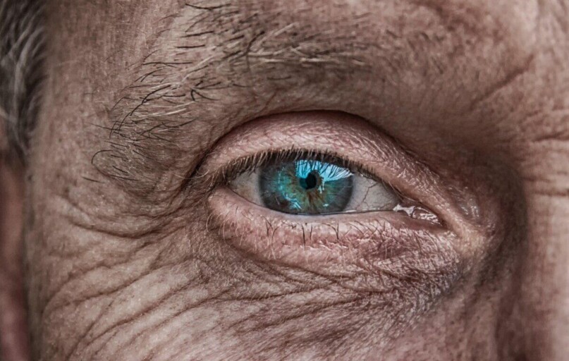 skin, eye, iris, blue, older, folds, wrinkled skin, man, face, portrait, human, old, green, eyebrow, lid, people, character, view, focus, focused, pupil, eyesight, lens, visually, watch, look at, see, vision, visionary, skin, eye, eye, eye, eye, eye, man, man, human, old, people, people, people