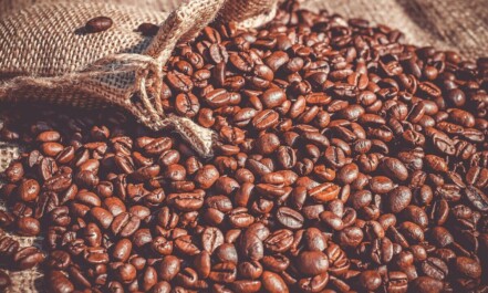 coffee, coffee beans, beans, roasted, caffeine, brown, bag, linen bag, coffee sack, aroma, food, enjoyment, coffee, coffee, coffee, coffee, coffee, coffee beans, coffee beans
