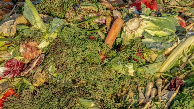 Kompostavimas žiemą: biologas pataria, kaip lengvai konservuoti virtuvės atliekas namuose