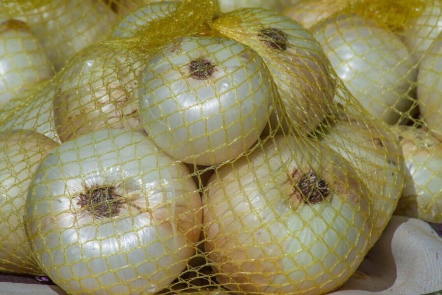 Mažiau drėgmės ir mažiau nuostolių: patarimai, kaip apsaugoti daržoves nuo puvimo ir graužikų