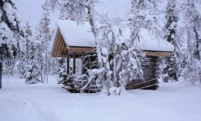 chalet, snow, nature, lapland