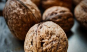 walnut, beautiful wallpaper, shell, nuts, food, healthy, brown, yummy, background, fall, nourishment, iphone wallpaper