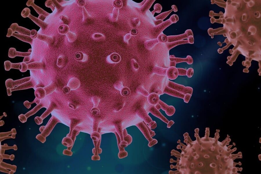 virus, covid, science, covid19, virus, covid, covid, covid, covid, covid