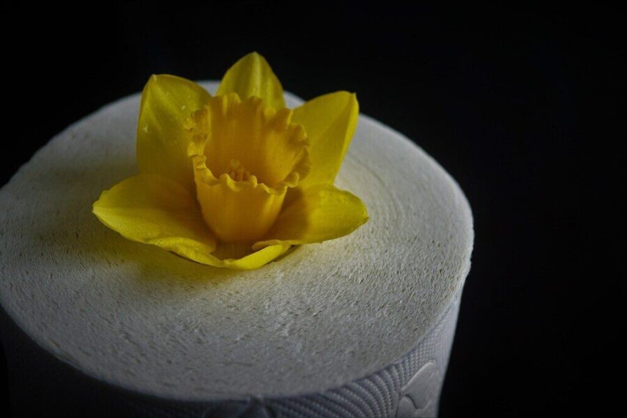 Brangių oro gaiviklių nebereikės: paprastas triukas su tualetinio popieriaus ritinėliu ir eteriniu aliejumi