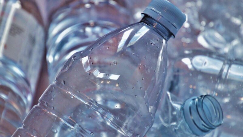 Mažiau vietos, daugiau derliaus: sužinokite, kaip iš plastikinių butelių pasigaminti pakabinamas lysves