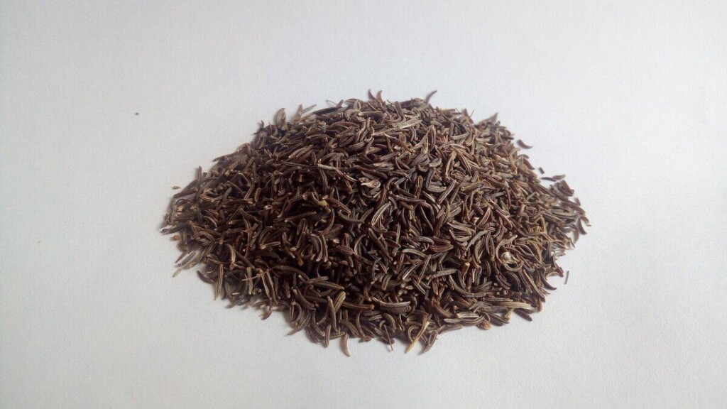 cumin, black cumin, herbs, ayurveda, medicinal herbs, healthy, cumin, cumin, cumin, cumin, cumin, black cumin, ayurveda, ayurveda