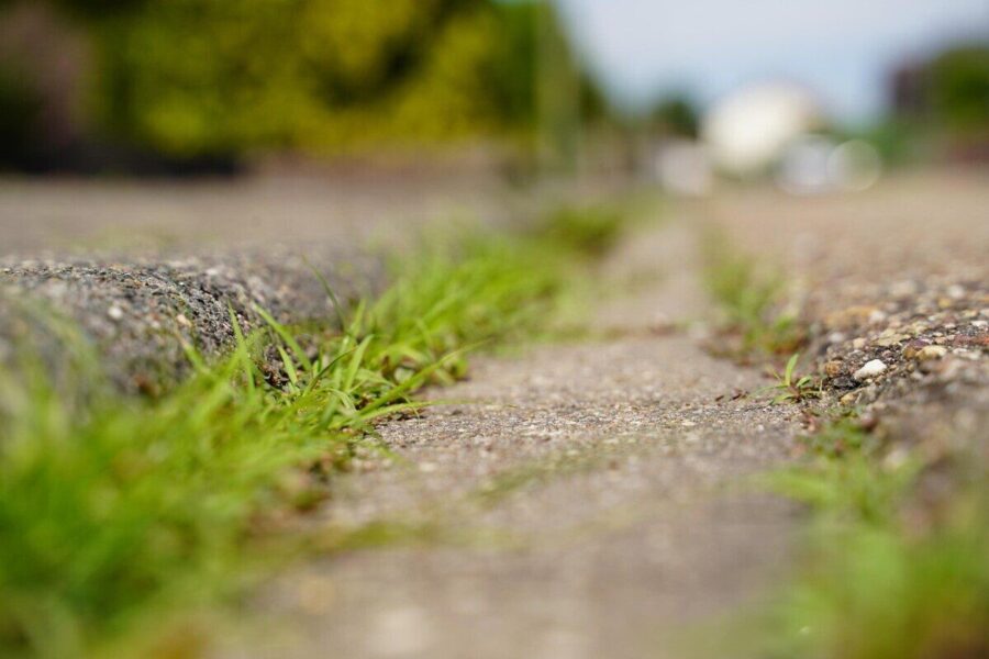 Žolė tarp plytelių nebeataugs: sodininkai pataria, kuo verta pakeisti paprastą smėlį tarp trinkelių