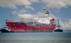 cargo ship, seagoing vessel, tugboats, pilots, small boats, tow boat, sail, freight transport, captain, sailors, nature, imposing ship, harbor, tow, shipping, water, marine, industrial, cargo