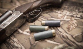 vintage gun, double-barrelled gun, old-fashioned gun, weapon, hand gun, vintage hand gun, ammo, ammunition