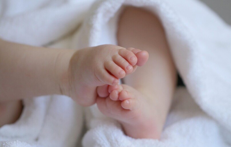 baby, child, grandchild, feet, baby feet, infant, children's feet, toes, cute, baby, baby, baby, baby, baby