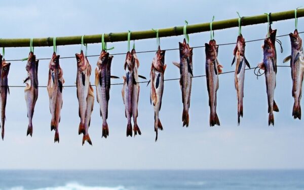 Aliaskinė polokė virtuvėje: lengvas ir nebrangus pasirinkimas kasdieniams patiekalams