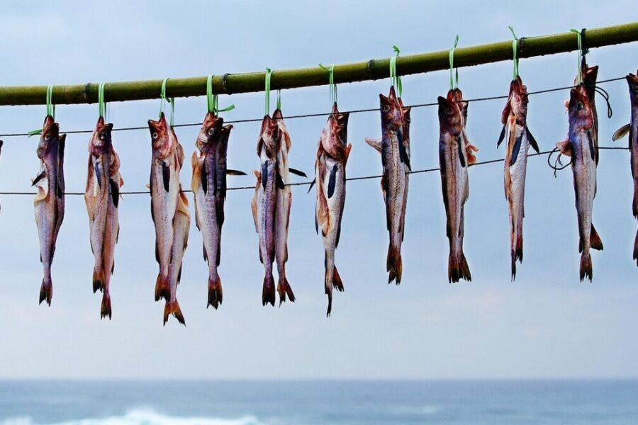 Aliaskinė polokė virtuvėje: lengvas ir nebrangus pasirinkimas kasdieniams patiekalams