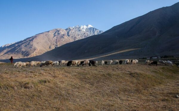 Japonijos žemėlapiai atskleidė daugiau nei karinius planus: atrasti pamiršti prekybos maršrutai