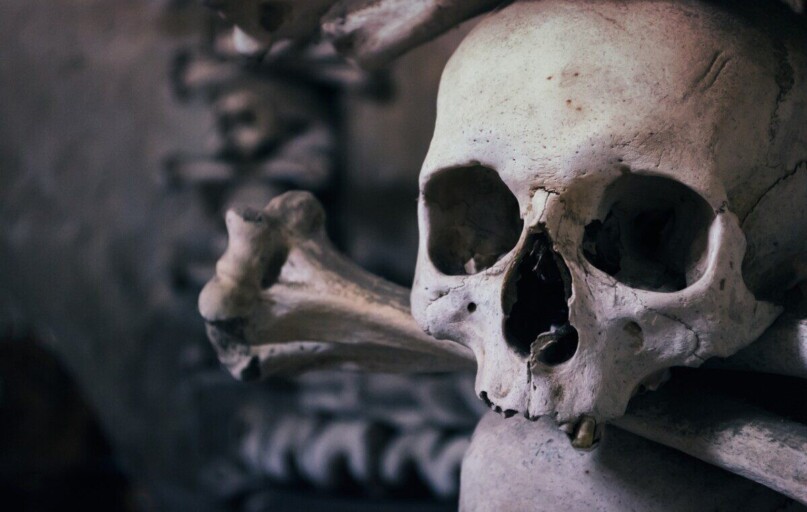 skull, ossuary, czech republic, chapel of all saints, kutna hora, happyhalloween, gray skull, halloween, skull, skull, skull, skull, skull, halloween