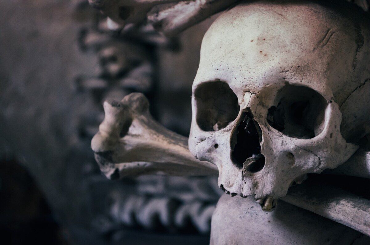skull, ossuary, czech republic, chapel of all saints, kutna hora, happyhalloween, gray skull, halloween, skull, skull, skull, skull, skull, halloween