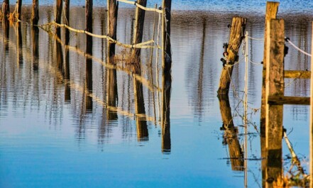 fence, flooding, water, flood, climate change, flood disaster, flooded, meadow, coupling, landscape, rural, nature, countryside