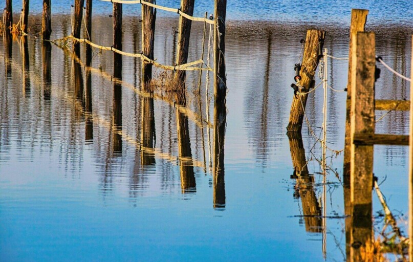 fence, flooding, water, flood, climate change, flood disaster, flooded, meadow, coupling, landscape, rural, nature, countryside