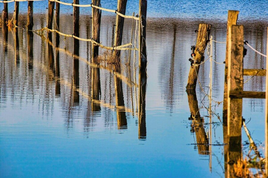 fence, flooding, water, flood, climate change, flood disaster, flooded, meadow, coupling, landscape, rural, nature, countryside