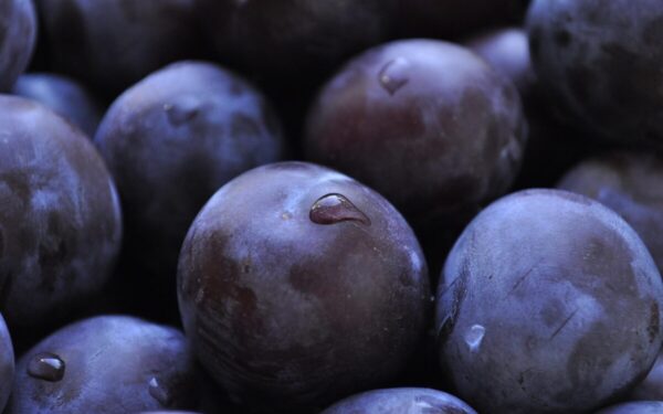 Fermentuoti umeboši: sužinokite, kaip jie siejami su sveikata ir ilgesniu gyvenimu
