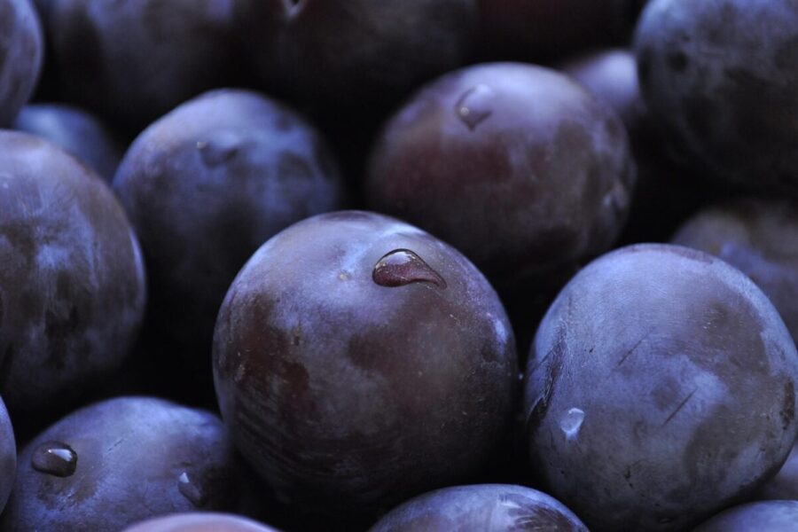Fermentuoti umeboši: sužinokite, kaip jie siejami su sveikata ir ilgesniu gyvenimu