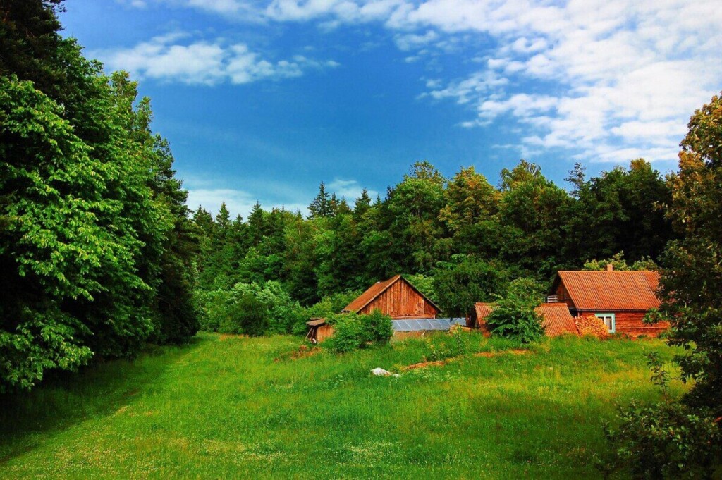village, summer, green, tourism, nature, grass, field, outdoor, house, sunny, building, country, forest, lithuania, green house, green building, green village, lithuania, lithuania, lithuania, lithuania, lithuania