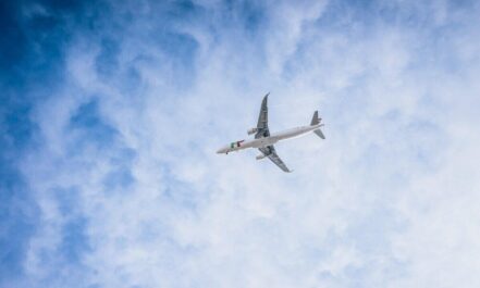 plane, flying, aviator, travel, air traffic, vacation, tourism, airline, airplane, fly, trip