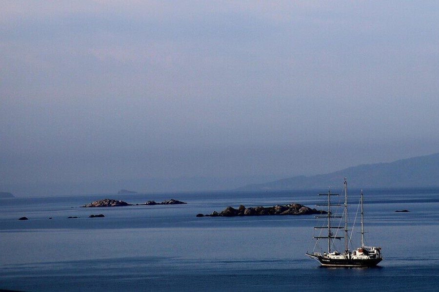 Klimato kaita keičia Viduržemio jūrą, aptikti siguatoksinus gaminantys organizmai