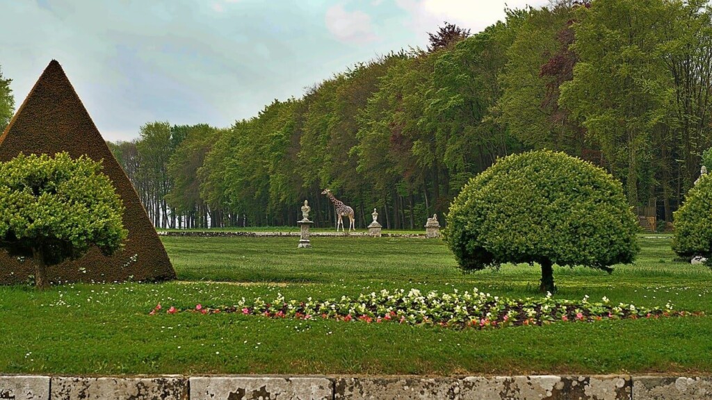 giraffe, nature, 4k wallpaper, fauna, hd wallpaper, mac wallpaper, wallpaper 4k, laptop wallpaper, beautiful wallpaper, windows wallpaper, wallpaper hd, animal, mammal, 4k wallpaper 1920x1080, free wallpaper, park, chateau, zoo, wallpaper, desktop picture, desktop backgrounds, cool backgrounds, full hd wallpaper, hintergrundsbild, free background, yk