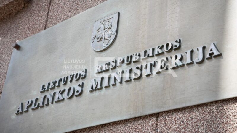 Kas bus nuspręsta dėl Lietuvos miškų? Aplinkos ministerija ruošiasi svarstyti atnaujintą įstatymą