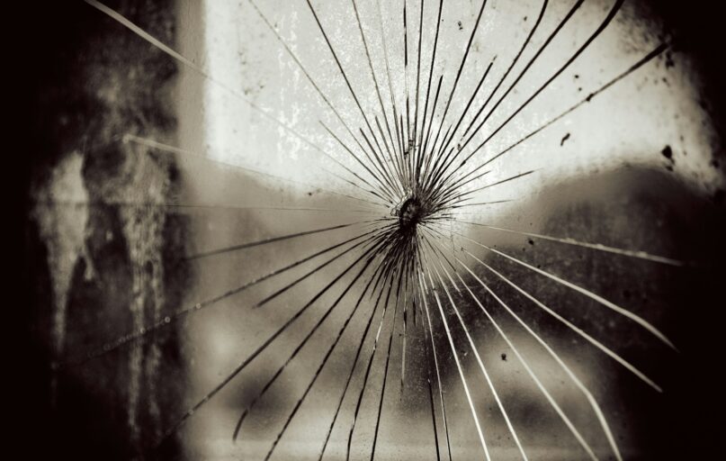 white dandelion flower in close up photography