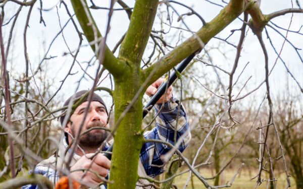 Ar sodų gyventojams teks mokėti daugiau? Siūlomi elektros ir dujų prijungimo tvarkos pakeitimai