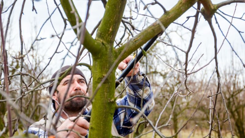 Ar sodų gyventojams teks mokėti daugiau? Siūlomi elektros ir dujų prijungimo tvarkos pakeitimai