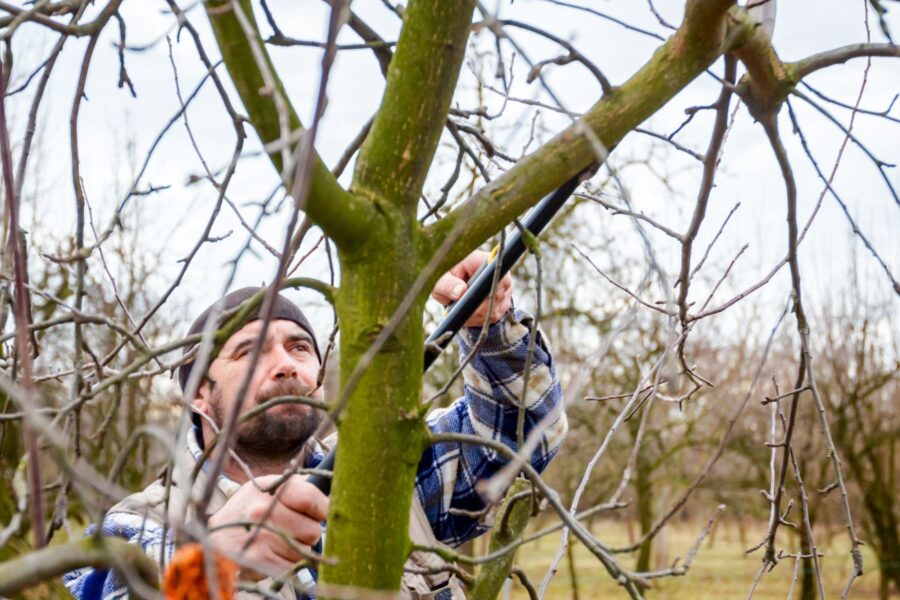 Ar sodų gyventojams teks mokėti daugiau? Siūlomi elektros ir dujų prijungimo tvarkos pakeitimai