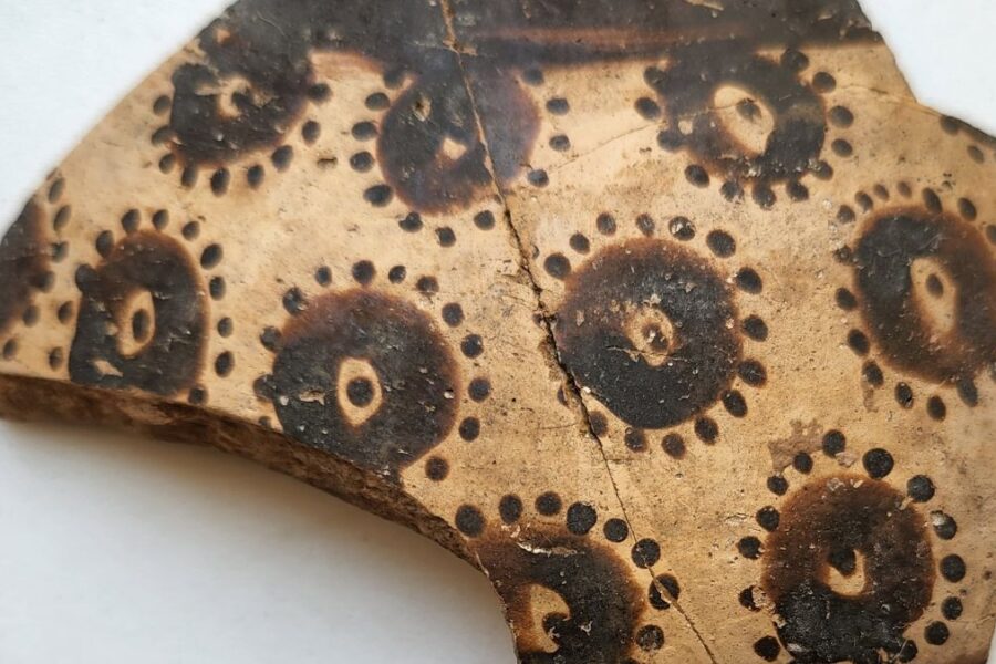 Šokas mokslo pasaulyje: seniausias botanikos piešinys atskleidžia užslėptą matematikos teoriją