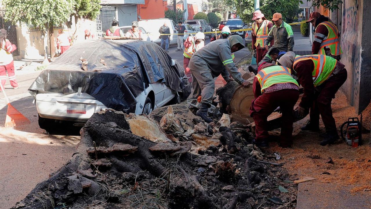 Staigus žemės drebėjimas sujaukė pirmąjį šiemet Meksikos prezidentės susitikimą