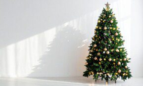 4 lemtingos klaidos vežant kalėdinę eglutę automobiliu: taip niokojate saloną ir kėbulą, kad verksite