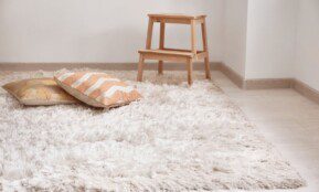 Taip atnaujinsite bet kokį kilimą. Pakelkite kilimo šerius ir pašalinkite susidariusias įspaudas