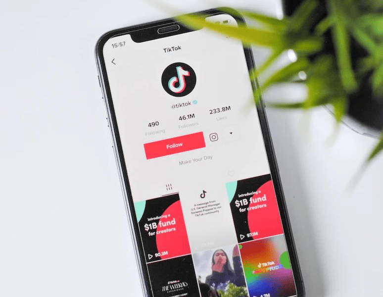 „TikTok“ siekia išvengti draudimo JAV: programėlės valdymą perima amerikiečiai, kas keisis?