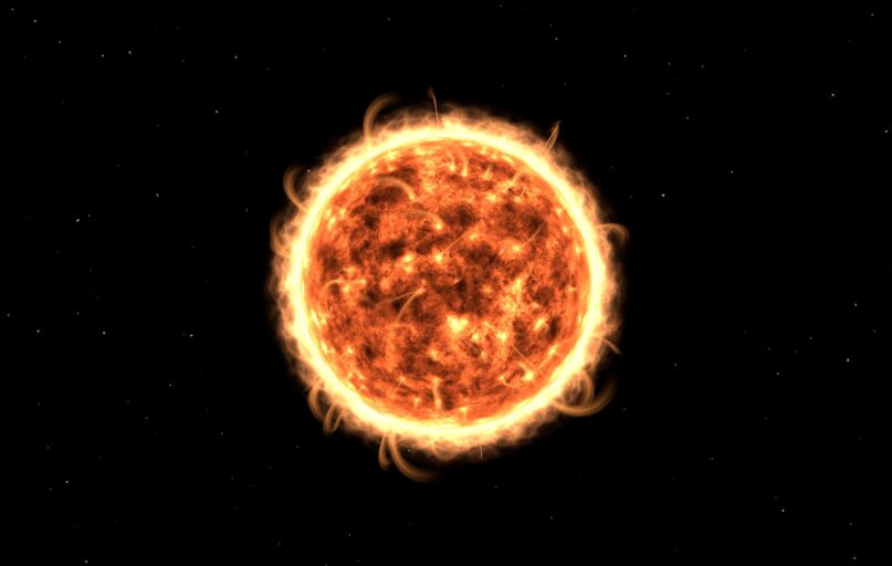 round brown and black illustration