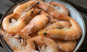raw shrimps in bowl