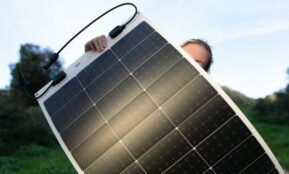 Saulės panelė. Unsplash nuotr.