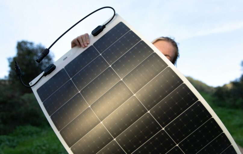 Saulės panelė. Unsplash nuotr.