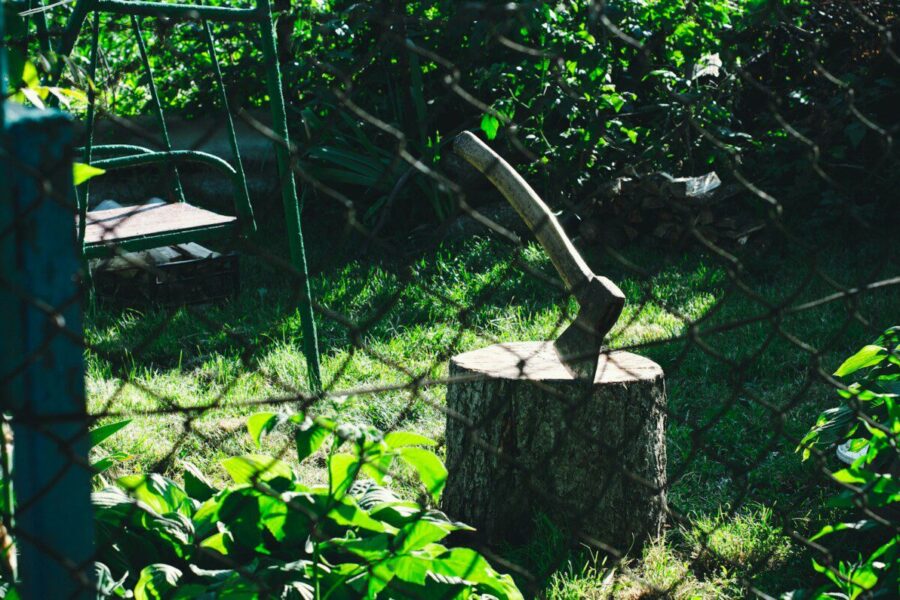 Nupjautos šakos gali tapti tikru lobiu jūsų sode: paprasti būdai jas paversti naudingu mulčiu ir atramomis